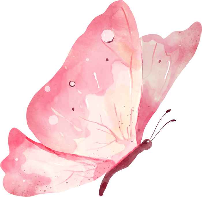 Watercolor Pink Butterfly Illustration